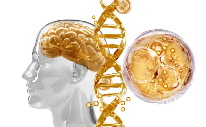 Perfil de cabeça com cérebro dourado e DNA